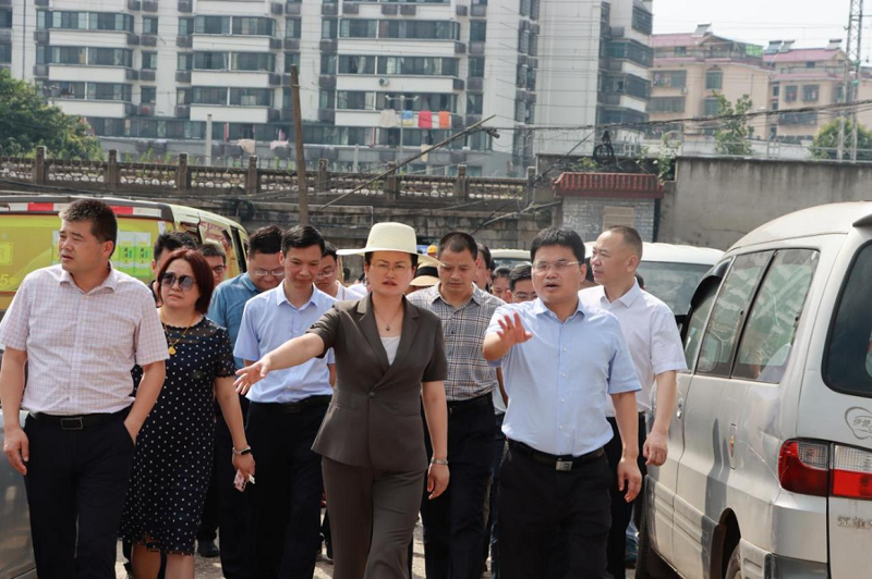 李美云、魏淑萍到岳陽中心城區污水治理項目調研